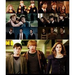 Harry Potter Life Quiz Long Results, Takers Movie, Life At Hogwarts, Harry Potter Life Quiz, Hogwarts Life, Hogwarts Quiz, Lee Jordan, Harry Potter Ron Weasley, Cho Chang