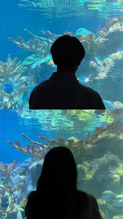 Matching Photos For Couples, Aquarium Matching Pfp, Couple Profile Pictures Matching Ulzzang, Ulzzang Couple Wallpaper, Matching Pictures Aesthetic, Copel Photos, Couple Aquarium Pictures, Pp Ig Couple, Pp Couple Love