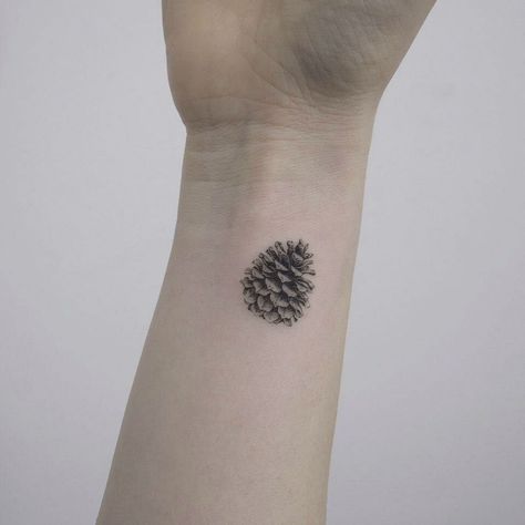 Pine Cone Tattoo, Pinecone Tattoo, Cone Tattoo, Tattoo Symbolism, Pine Tattoo, Single Needle Tattoo, Forest Tattoos, Small Wrist Tattoos, Nature Tattoos