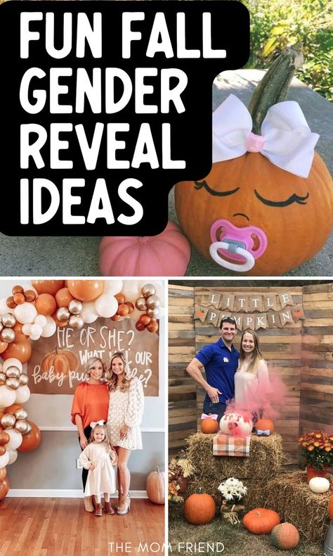 Fall gender reveal ideas. Nursing Gender Reveal Ideas, Gender Pumpkin Reveal, Fall Reveal Party Ideas Gender, Halloween Gender Reveal Pictures, Neutral Halloween Gender Reveal, Gender Reveal Ideas To Family, Fall Inspired Gender Reveal, Pink And Blue Halloween Gender Reveal, Gender Reveal Idea Halloween