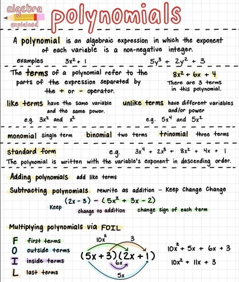 Polynomial Functions Notes, Intermediate Algebra College, Tips For Algebra 1, Advanced Algebra Notes, Quadratic Equations Notes Grade 9, Factoring Polynomials Notes, High School Math Notes, Freshman Algebra Notes, Algebra One Notes