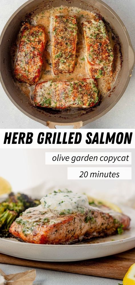 Learn how to make an Olive Garden favorite, herb grilled salmon, at home. Fresh garlic herb butter adds so much rich flavor to the tender, flaky salmon. This copycat Olive Garden herb grilled salmon will blow your socks off with flavor. The fish is coated in Italian seasonings and topped with a lemon and garlic herb butter Herb Butter For Salmon, Salmon Italian Style, Olive Garden Salmon Recipe, Olive Garden Salmon, Italian Herb Salmon, Italian Salmon Recipes, Herb Butter Salmon, Salmon Italian, Garlic Herb Salmon