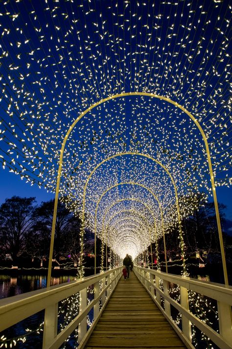 Christmas Light Festival, Kemah Boardwalk, Winter Romance, Oklahoma Travel, Festival Of Light, Holiday Lights Display, Ideas Fiesta, Christmas Light Displays, Holiday Hotel