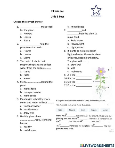 Grade 3 Science Plants Worksheets, Science Olympiad For Class 3, Class 4 Science Worksheet, Worksheet For Class 2, Characteristics Of Living Things, Grade 3 Science, Plants Worksheets, States Of Matter Worksheet, Biology Worksheet