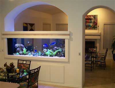 Aquarium Room Divider Fish Tank Table, Fish Tank Wall, Aqua Wall, Custom Aquarium, Wall Aquarium, Cool Fish Tanks, Fish Tank Design, Aquarium Stand, Aquarium Ideas