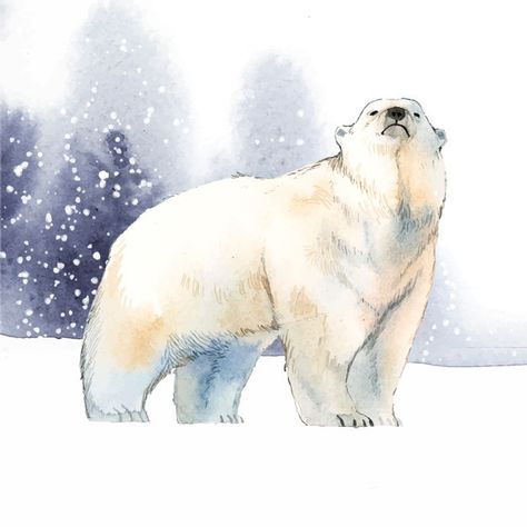 Forest Animals Illustration, Polar Bear Drawing, Hand Drawn Fox, Snow Watercolor, Polar Bear Illustration, Polar Bear Art, Bear Vector, Cute Animals To Draw, Bear Watercolor