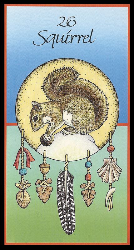 Animal Medicine Cards, Native American Animal Symbols, Medicine Cards, Native American Animals, American Card, Animal Spirit Guide, Spirit Bear, Animal Spirit Guides, Animal Medicine