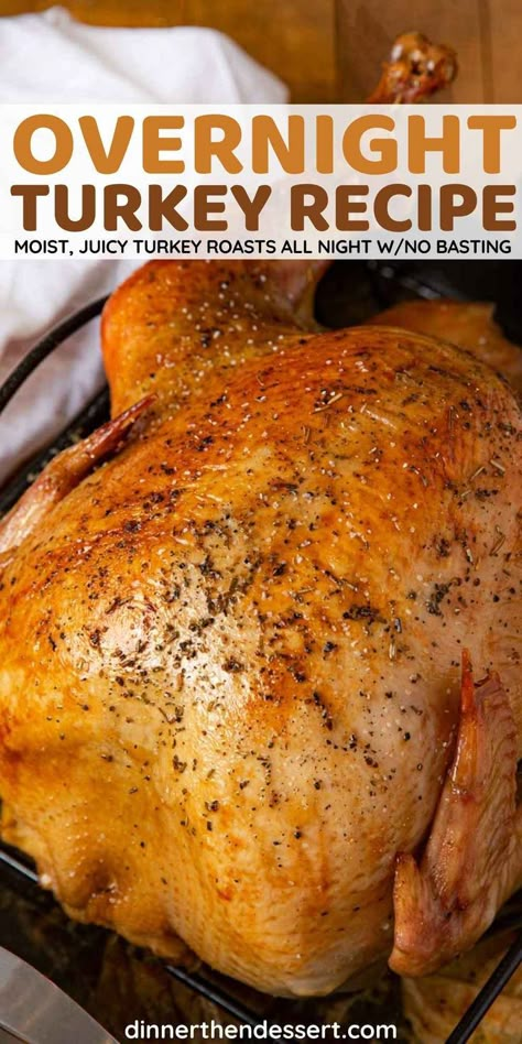 Overnight Turkey Recipe, Overnight Turkey, Easy Turkey Recipes Thanksgiving, Best Roasted Turkey, Easy Thanksgiving Turkey, Perfect Roast Turkey, Herb Roasted Turkey, Herb Turkey, Turkey Brine Recipes