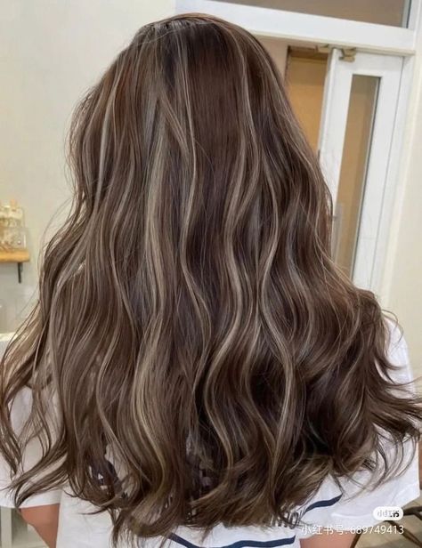 Haircolor Ideas For Dark Brown Hair, Toasted Blonde Balayage, Cute Hair Dyes For Brunettes, Layers Hair With Highlights, Dark Brown Hair With Ash Brown Lowlights, Hair Inspo Brunette Highlights, Dark Brown Hair With Milk Tea Highlights, Short Asian Hair Highlights, Bollyarge Hair