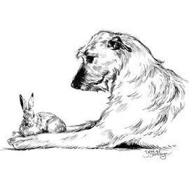 Irish Wolfhound Tattoo, Irish Wolfhound Art, Irish Wolfhound Drawing, Blank Canvas Ideas, Drawing Pets, Irish Wolfhounds, Dog Cafe, Horse Artwork, Tinta China