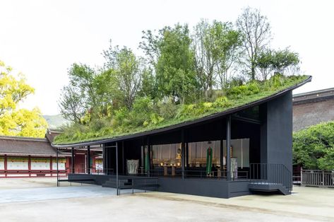 A temporary hall with a floating forest on its roof was added to the Dazaifu Tenmangu Shrine in Japan - Yanko Design Inner Sanctum, Sou Fujimoto, Light Grey Walls, Weekend House, Hall Design, Wood Ceilings, Yanko Design, Green Roof, Steel Structure