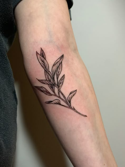 Sage leaves tattoo on me, nature, leaves, sage, healing, wisdom. Artist and design- @cali.tattoos on instagram Sage Tattoo Ideas, Sage Healing, Sage Tattoo, Leaves Tattoo, Brush Tattoo, Tattoo Filler, Nature Leaves, Flash Tattoo Designs, Floral Tattoo Sleeve