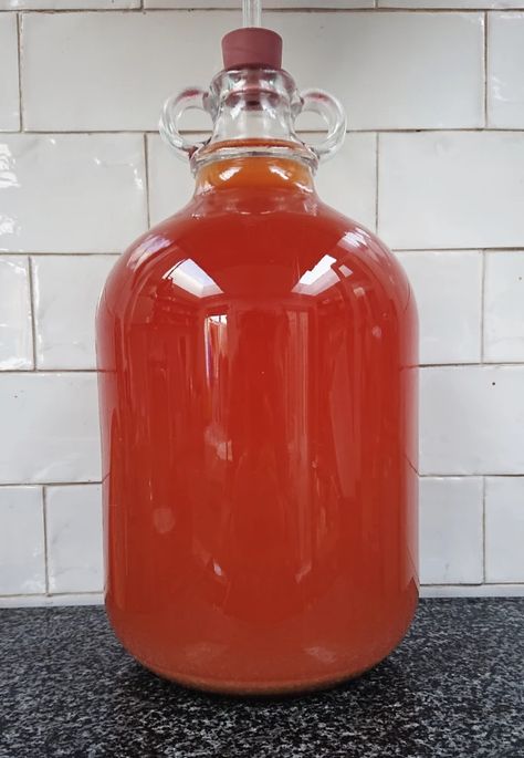 BLOOD ORANGE WINE RECIPE – THE NOVOCASTRIAN VINTNERS GAZETTE Dandelion Wine Recipe, Fruit Wine Recipes, Fig Wine, Wine Making Recipes, Citric Fruits, Homemade Wine Recipes, Dried Fig, Mead Recipe, Seville Orange