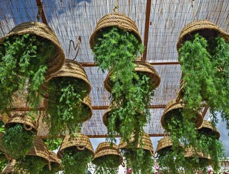 5 DIY Upside Down Planter Ideas Upside Down Plants, Plastic Bottle Planter, Gardening For Dummies, Diy Hanging Planter, Vegetable Planters, Hanging Herbs, Hanging Plants Indoor, Permaculture Design, Diy Plant Stand