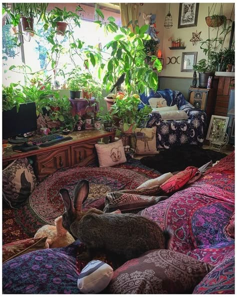 Witchcraft Plants, Hippie Bedroom Decor, Hippie Room, Lots Of Plants, Hippy Room, Forest Witch, Chill Room, Indie Room Decor, Indie Room