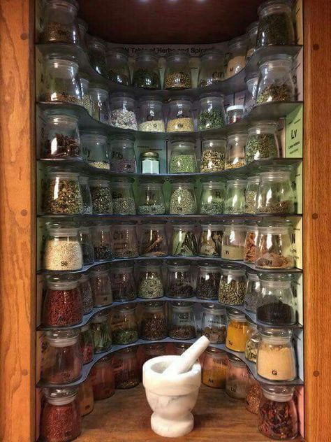 Spices Rack, Reka Bentuk Dapur, Casa Hobbit, Herb Storage, Cocina Diy, Clever Kitchen Storage, Diy Casa, Kitchen Storage Solutions, Diy Kitchen Cabinets