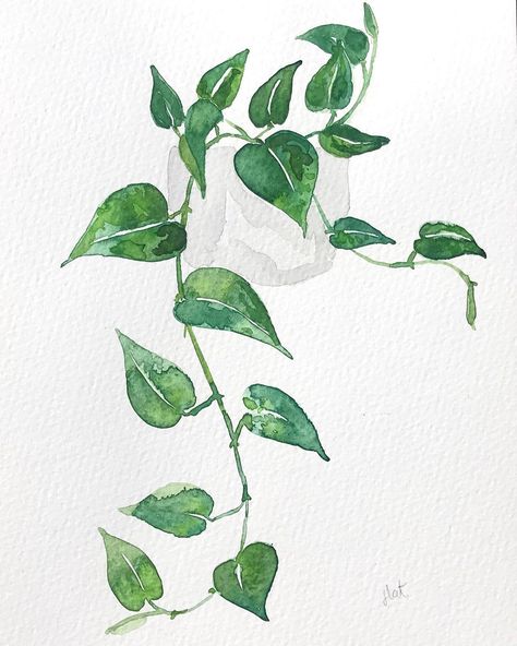 Pothos Plant Painting, Pothos Watercolor, Watercolor Pothos, Pothos Tattoo Simple, Pothos Plant Tattoo, Pothos Drawing, Painting Vines, Pothos Tattoo, Plant Painting Acrylic