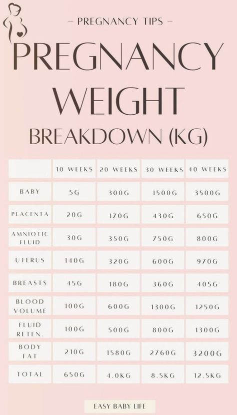 Pregnancy Weight Breakdown By Week (KG) | Third Trimester Pregnancy Trimester Chart, Pregnancy Weight Gain Chart, Weight Gain During Pregnancy, Pregnancy Pilates, Pregnancy Timeline, Third Trimester Pregnancy, Pregnancy Facts, Pregnancy First Trimester, Pregnancy Weight Gain