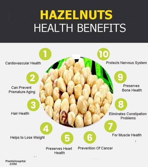 Hazelnuts: Health Benefits & Nutrition Facts, Can You Eat Hazelnuts? 2 Hazelnut Benefits, What Is Health, Healthy Nuts, Essential Oils Health, How To Roast Hazelnuts, Healing Food, Cardiovascular Health, Food Facts, Bone Health