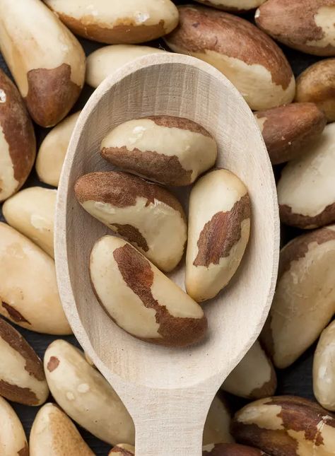 10 Ways Brazil Nuts Benefits Your Health Brazil Nuts Fertility, Brazil Nuts Benefits, Nuts Benefits, Brazilian Nuts, Pets Food, Brazil Nut, Organic Cookies, Organic Nuts, Brazil Nuts