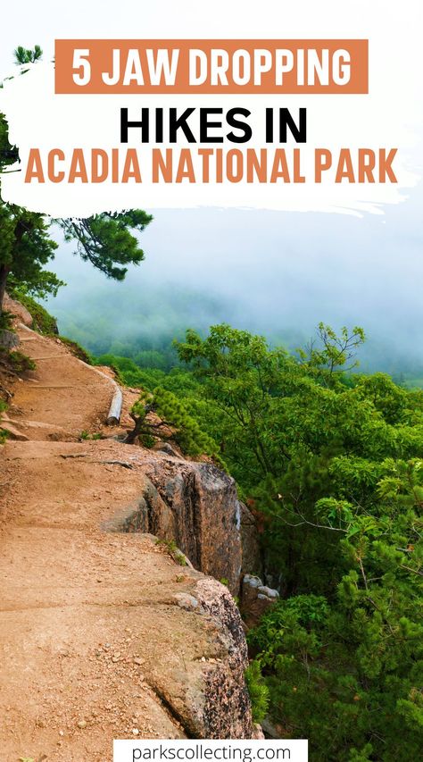 What To Wear To Acadia National Park, Acadia National Park Packing List, Hiking Acadia National Park, Acadia National Park Photography, Beehive Trail Acadia, Acadia National Park Fall, Acadia National Park Hikes, Acadia Hikes, Beehive Trail Acadia National Park