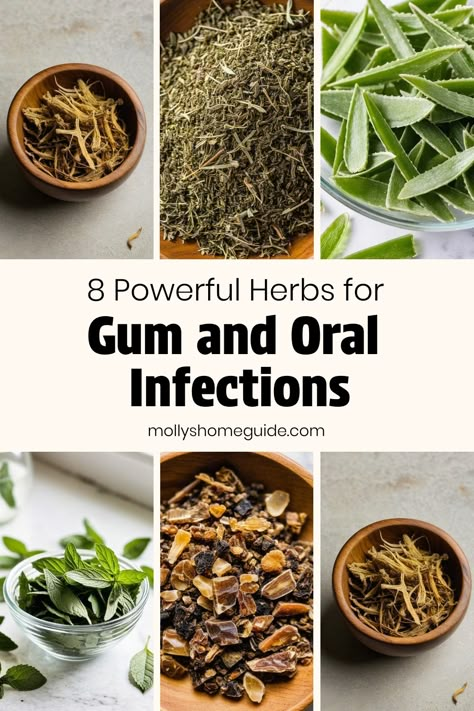 Discover the power of natural remedies for gum disease with a range of medicinal herbs and essential oils. Combat gum recession, periodontitis, and inflamed gums with the help of herbs like sage, chamomile, and peppermint. Enhance your oral health routine with oil pulling to reduce oral infections like gingivitis or swollen gums. Say goodbye to mouth sores by incorporating these effective home remedies into your daily routine for healthier gums and a beautiful smile. Mouth Rinse For Gums, Essential Oils For Gum Infection, Gum Health Remedies Natural Treatments, Sore Gums Remedy Natural, Gum Abscess Remedies, Heal Gums Naturally, Inflamed Gums Remedies, Gum Health Remedies, Herbs For Tooth Infection