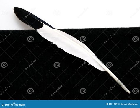 black and white feather Feather wall birds flying decal stickers decals vinyl sticker quote decor background feathers bedroom mural removable pen drawing tattoo stencil. Black and white feather stock image. image of color, closeup. Pin by monique streff on feathers. Black white feather art vinyl quote wall stickers home wall decals wall. Pluma piuma immagine. Feather bird royalty dreamstime. Feather feathers meaning hd symbolism urdu tattoos symbol plumas dibujo reference quill meanings selec... Pen Drawing Tattoo, Stencil Black And White, Black And White Feather, Feather Meaning, White Background Photography, Bedroom Mural, Feather Bird, Drawing Tattoo, Bedroom Murals