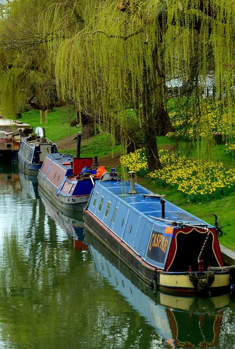 Explore Jayembee69's photos on Flickr. Jayembee69 has uploaded 1506 photos to Flickr. Canal Boats England, Barge Boat, Canal Barge, Narrow Boats, Dutch Barge, Narrow Boat, Canal Boats, House Boats, Boat Life