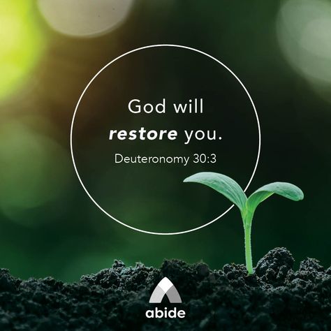 Restore Me - Deuteronomy 30:3 - Abide Study Consistently, Exams Motivation, Restore Me, Deuteronomy 30, Bible Quotes Pictures, Abide With Me, Prayers Of Gratitude, 2024 Wallpaper, Inspirational Qoutes