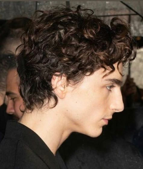 Wavy Male Hair, Timothee Chalamet Hairstyle, Timothee Chalamet Hair, Male Haircuts, Queer Hair, Haircuts Curly, Male Haircuts Curly, Male Hairstyles, Chicago Kids