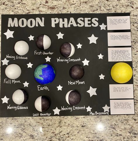 Moon Phase Science Project, Moon Phase School Projects, Moon Phases School Project, Moon Phases Model Project, Moon School Project, Moon Phases Science Project, Moon Phases Project Middle School, Moon Phases Project For Kids, English Board Ideas