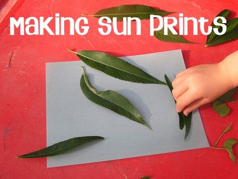 How to Make Sun Prints using Sun Paper with Kids Forest Schools, Sun Paper, Sun Crafts, Purple Paper, Sun Prints, Silhouette Pictures, Earth Day Activities, Outdoor Education, Foggy Forest