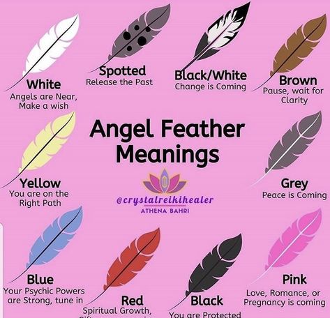 Finding Feathers, Feather Meaning, Angel Feather, Angel Feathers, Wiccan Magic, Spiritual Journals, Wiccan Spell Book, Witchcraft Spell Books, Witch Spell Book