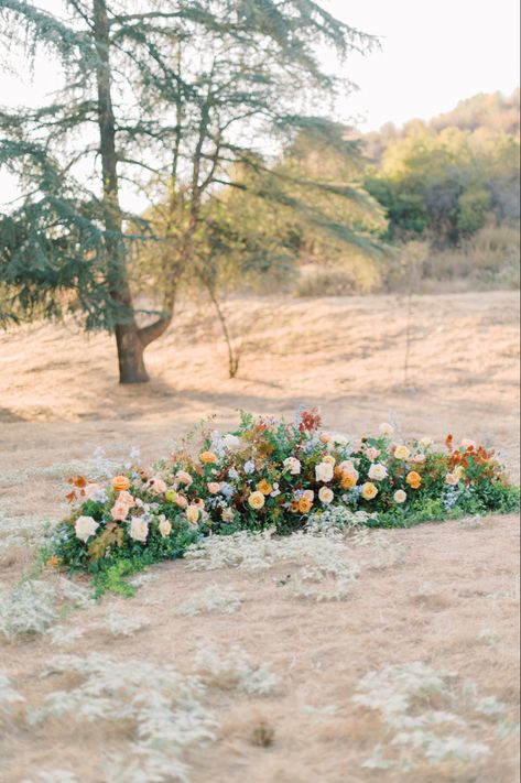 Floor Flower Arch, Wedding Floor Arch, Floor Arch Wedding, Amanda Ryan, Wedding Floor, Altar Ideas, Bee Flower, Arch Flowers, Bee On Flower