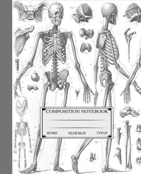 Physiology Aesthetic, Human Body Skeleton, Body Skeleton, Journal For School, Book Cover Art Diy, Book Cover Design Template, School Book Covers, Ipad Essentials, Note Writing Paper