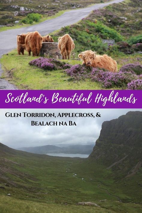 Scotland's Beautiful Highlands: Exploring Glen Torridon, Applecross, & Bealach na Ba | Why a visit to this part of the Scottish Highlands is a must, and how to plan your visit. What to see in Glen Torridon, how to visit Loch Maree, and staying in Shieldaig. Driving the Bealach Na Ba pass, and charming Applecross Scotland! #bealachnaba #scotland #uk #highlands #glentorridon #applecross #roadtrip #scottishhighlands #traveltips #itinerary #traveldestinations #scottish #highlandcow Applecross Scotland, Torridon Scotland, Isle Of Iona, Scotland Road Trip, Travel Through Europe, Isle Of Harris, Travel Scotland, Scotland Highlands, Visit Scotland