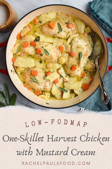 Creamy and satisfying low-FODMAP recipe for One-Skillet Harvest Chicken with Mustard Cream. The perfect medley of fall flavors. IBS-friendly and gluten-free. Fodmap Elimination Phase Recipes, Fodmap Free Recipes, Low Fodmap Stew, Meal Prep Low Fodmap, Gluten Free Dairy Free Low Fodmap Recipes, Low Fodmap Dessert Recipes, Low Fodmap Dinner Ideas, Low Food Map Recipes, Low Histamine Dinner