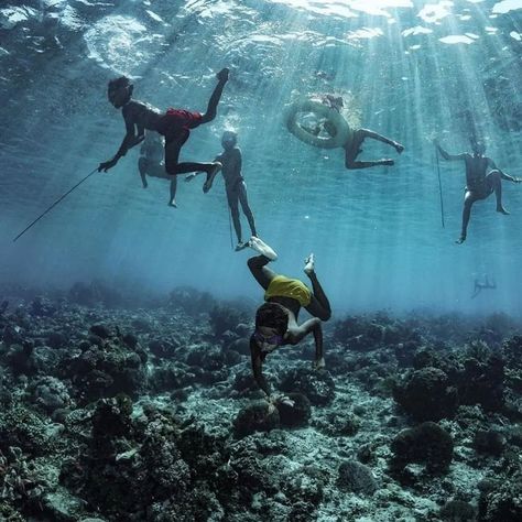 The Bajau people, also known as sea nomads or sea gypsies, have evolved remarkable adaptations for diving underwater. Their unique genetic traits enable them to spend long periods submerged without equipment. Studies suggest their enlarged spleens store oxygen-rich blood, aiding in breath-holding abilities. Additionally, Bajau children undergo extensive training from a young age to develop diving skills and adapt to the underwater environment. Their lifestyle revolves around the sea, with d... Bajau People, Underwater Environment, Diving Underwater, Long Periods, Genetic, The Sea, Diving, Instagram