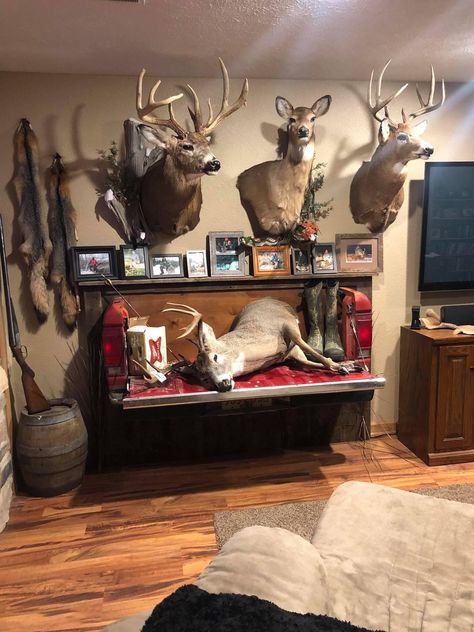 Trophy Rooms Hunting, Skull Mount Ideas, Hunting Room Design, Deer Mount Decor, Deer Mount Ideas, Hunting Man Cave, Deer Hunting Decor, Deer Skull Mount, Whitetail Deer Pictures