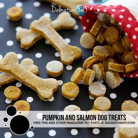 Salmon Dog Treats Homemade, Fancy Dog Treats, Edible Moss, Dog Sale, Dog Treats Homemade Pumpkin, Salmon Dog Treats, Puppy Girls, Irish Doodle, Pet Recipes