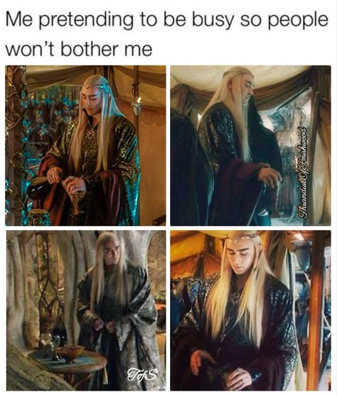 The Hobbit Imagines, The Hobbit Memes Hilarious, The Silmarillion Memes, Lord Of The Rings Thranduil, Thranduil And Wife, The Hobbit Funny, Lotr Memes Funny, The Hobbit Aesthetic, Thranduil Funny