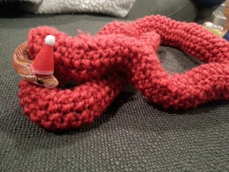 My Mother-In-Law Knitted My Wife's Snake A Christmas Sweater Snakes With Hats, Snake Sweater, Baby Jesus Ornament, Cute Reptiles, Cute Snake, Ball Python, Best Mother, Mother In Law, Exotic Pets