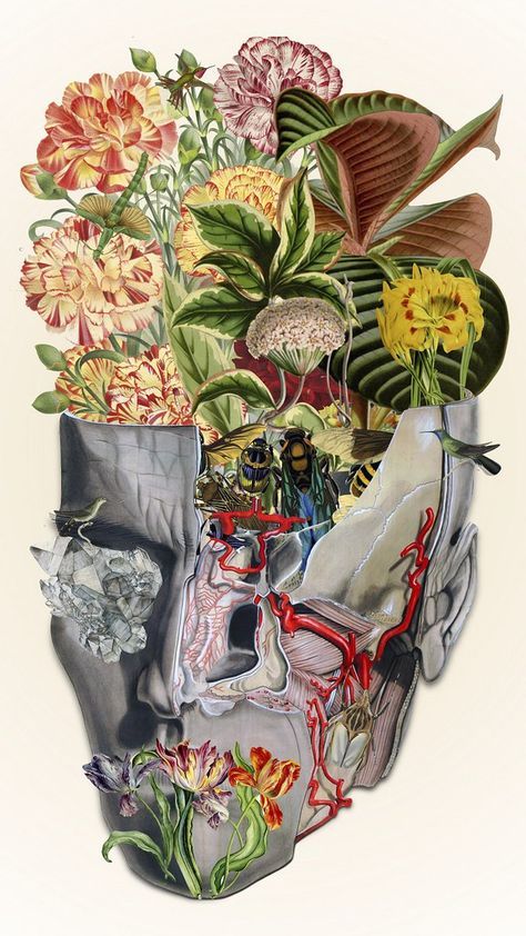 Travis Bedel, Flora And Fauna Art, Man Vs Nature, Anatomical Art, Nature Collage, All The Bright Places, Brain Art, Human Anatomy Art, Medical Art