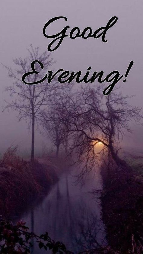 Good Evening Sms, Evening Wishes, Goodnight Wishes, Good Evening Messages, Good Evening Wishes, Morning Board, Good Afternoon Quotes, Evening Quotes, Good Evening Greetings