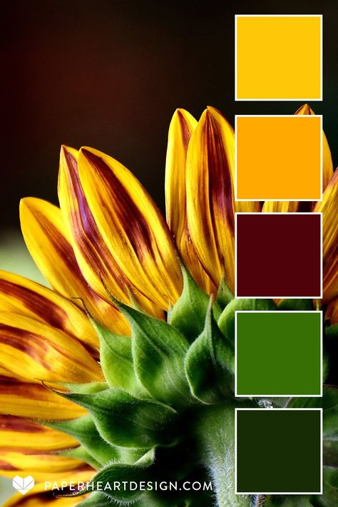 Color Palette With Yellow And Green, Cheetah Color Palette, Bright Pantone Color Palette, Sofisticated Color Palette, Gold Color Palette Colour Schemes, Color Schemes With Gold, Nature Inspired Color Palette, Color Cube Palette, Red Yellow Blue Color Palette