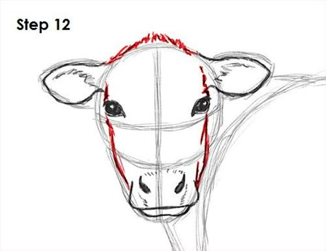 How to draw a cow tutorial by How2DrawAnimals. #cow #animalart #graphitepencil #drawing Draw A Cow, Cow Paintings, Cow Drawing, Afrique Art, Cow Face, Cow Painting, Cow Art, Art Instructions, A Cow