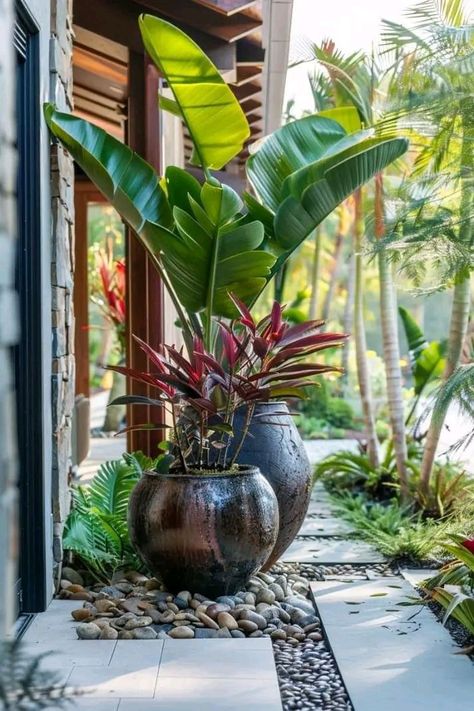 Step Display, Indoor Green Plants, Villa Landscape, Plantas Interior, Garden Planter Ideas, Planter Arrangements, Balinese Garden, Tropical Garden Design, Pot Garden