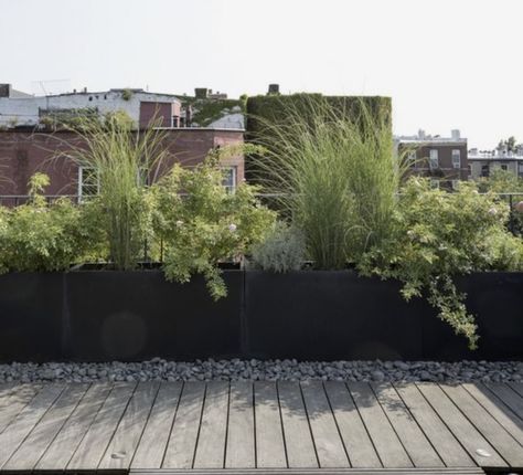 raised planters/wall to screen neighbours Rooftop Planters, Raised Planters, Rooftop Terrace Design, Raised Planter, Terrace Design, Rooftop Terrace, Terrace, New Homes, Patio