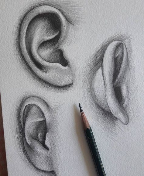 Ear drawing Ear Drawing, Beautiful Pencil Drawings, Drawing Eyes, Drawing Faces, Digital Painting Tutorials, Anatomy Drawing, Art Drawings Sketches Creative, Human Face, A Pencil