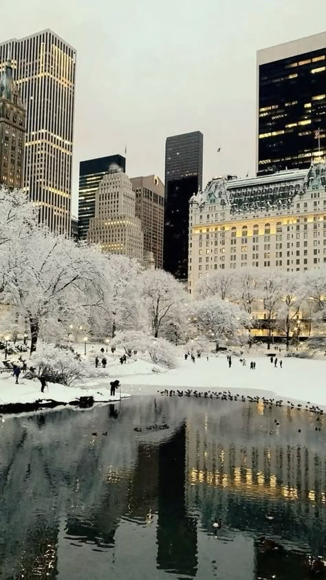 My December Aesthetic, Canada Christmas Aesthetic, Snowy City Wallpaper, Christmas Mood Wallpaper, Winter City Wallpaper, Snow Aesthetic City, Snow Background Aesthetic, Snow City Aesthetic, Snowy Trees Wallpaper